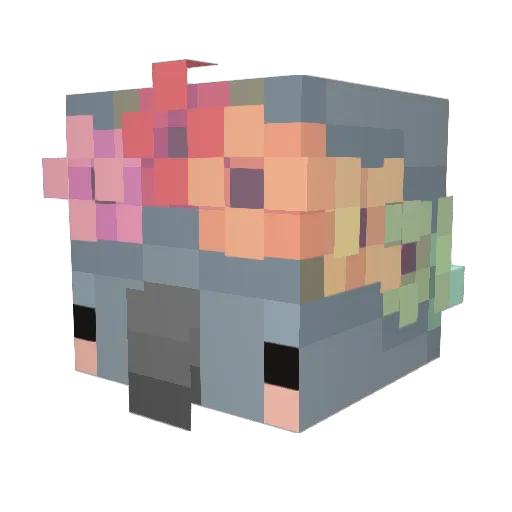 FlowerCat2 Minecraft avatar head, 3D render