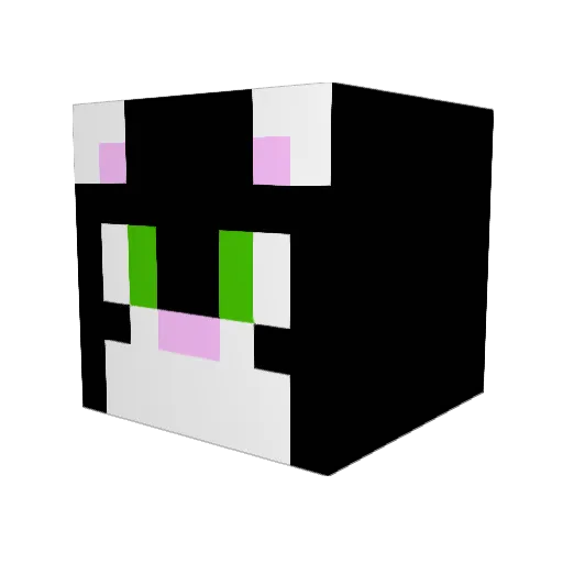 FlowerCat6 Minecraft avatar head, 3D render