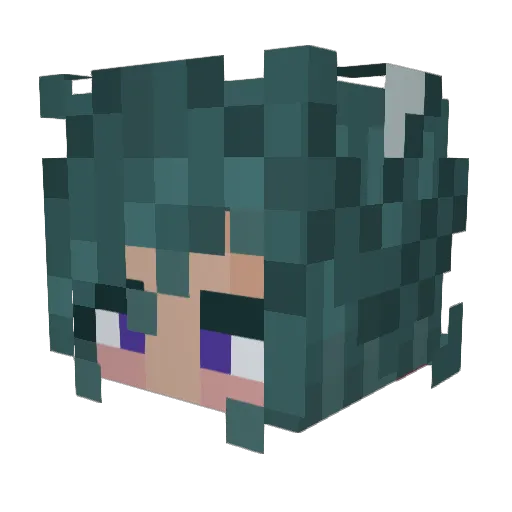 FlowerDealer Minecraft avatar head, 3D render