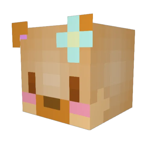 FlowerDoge Minecraft avatar head, 3D render