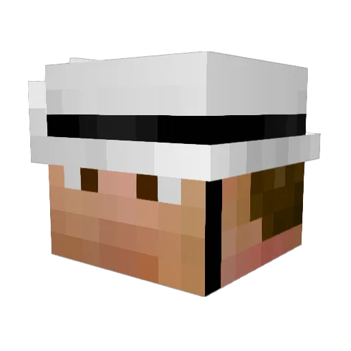 FlowerFetish Minecraft avatar head, 3D render