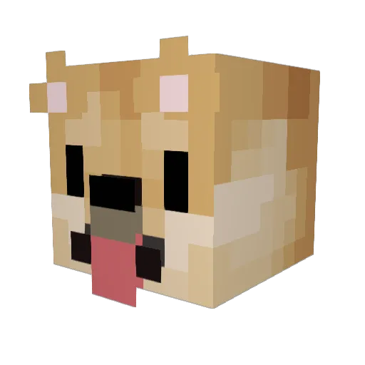 FlowerFinn Minecraft avatar head, 3D render