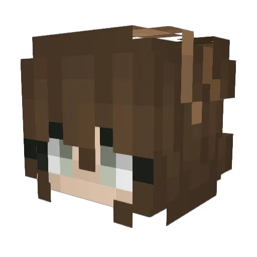 FlowerForest Minecraft avatar head, 3D render