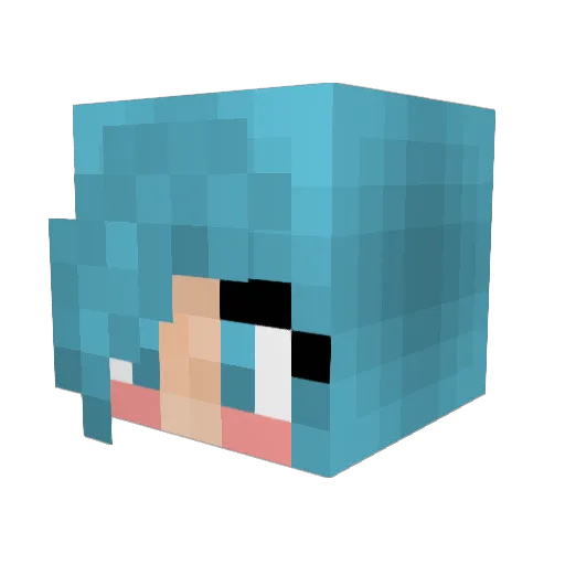 FlowerFox99 Minecraft avatar head, 3D render