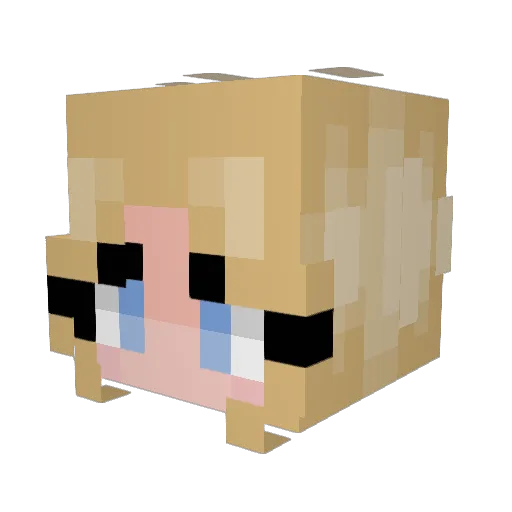 FlowerGirlxoxo Minecraft avatar head, 3D render