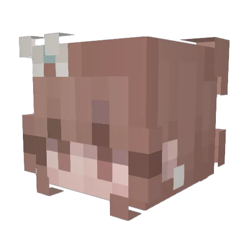 FlowerGod1204 Minecraft avatar head, 3D render