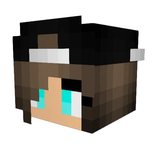 FlowerGuard1124 Minecraft avatar head, 3D render