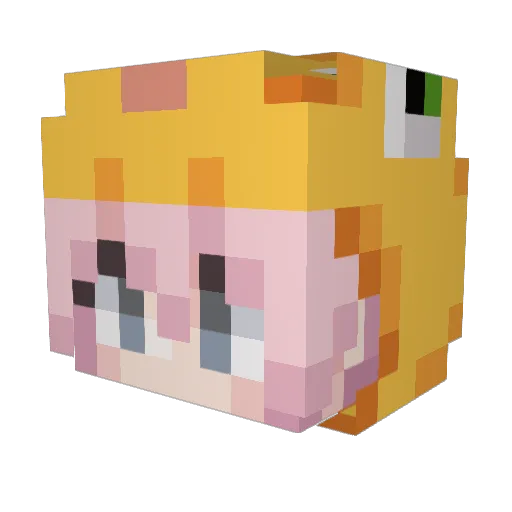 FlowerH6 Minecraft avatar head, 3D render