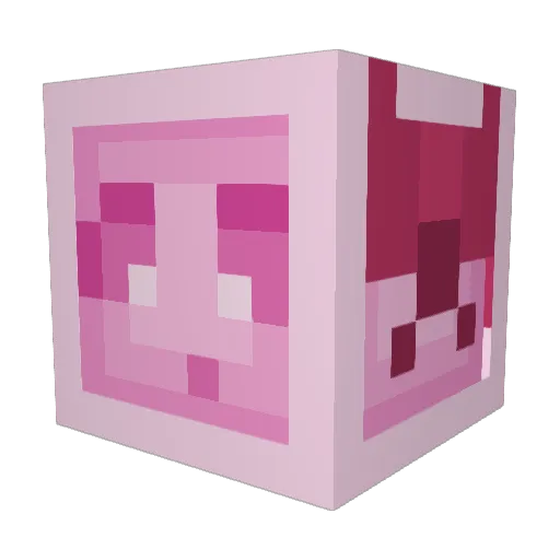 FlowerJester142 Minecraft avatar head, 3D render