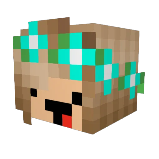 FlowerKoala Minecraft avatar head, 3D render