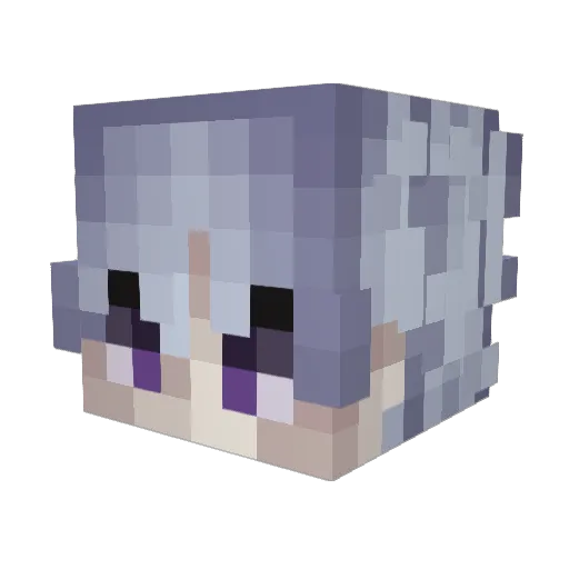 FlowerLife Minecraft avatar head, 3D render