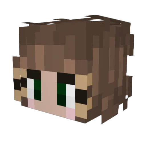 FlowerLovesWater Minecraft avatar head, 3D render