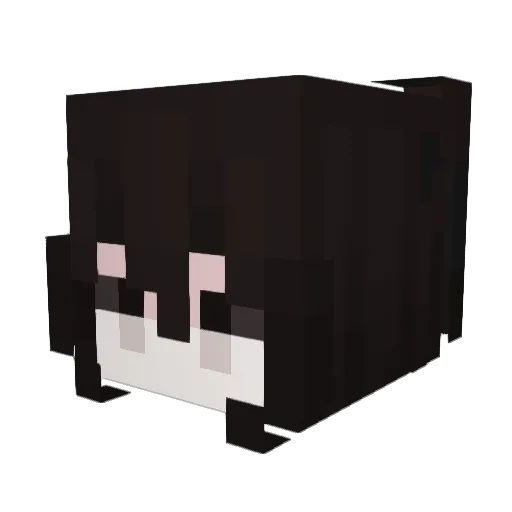 FlowerPeach Minecraft avatar head, 3D render