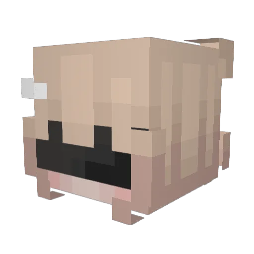 FlowerPowerDE Minecraft avatar head, 3D render