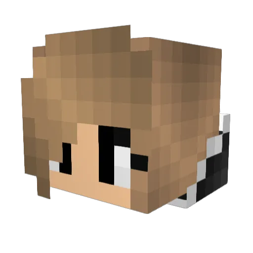 FlowerQueen87 Minecraft avatar head, 3D render