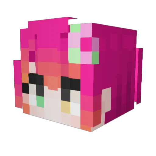 FlowerTheSun Minecraft avatar head, 3D render
