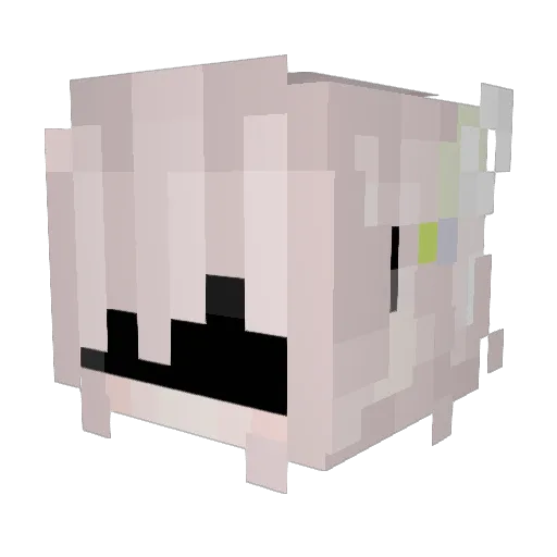 Flower_City Minecraft avatar head, 3D render