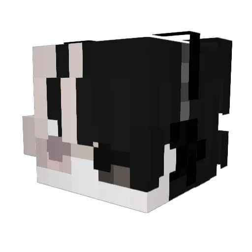 Flower_Larry Minecraft avatar head, 3D render
