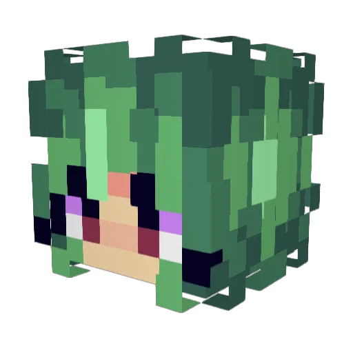Flower_Master Minecraft avatar head, 3D render