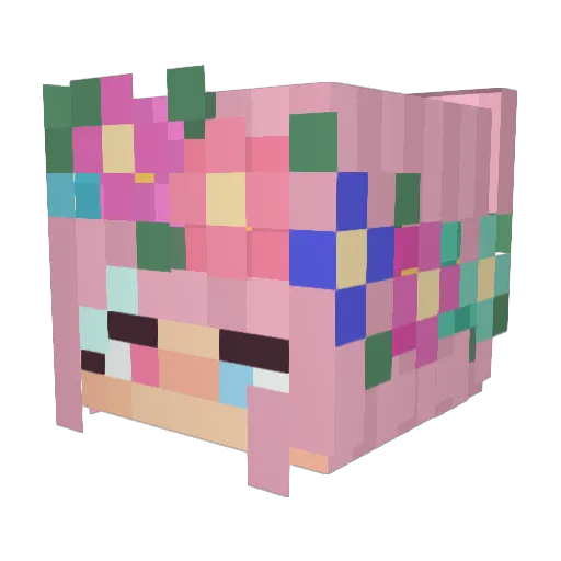 Flowerain Minecraft avatar head, 3D render