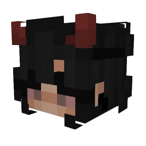 Flowergiirly Minecraft avatar head, 3D render