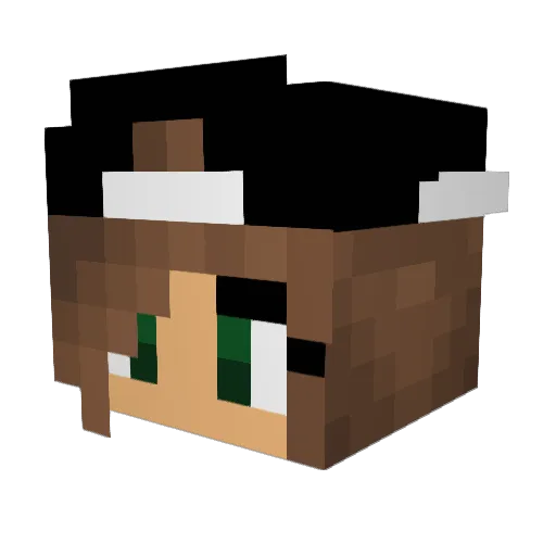 Flowergurl0911 Minecraft avatar head, 3D render