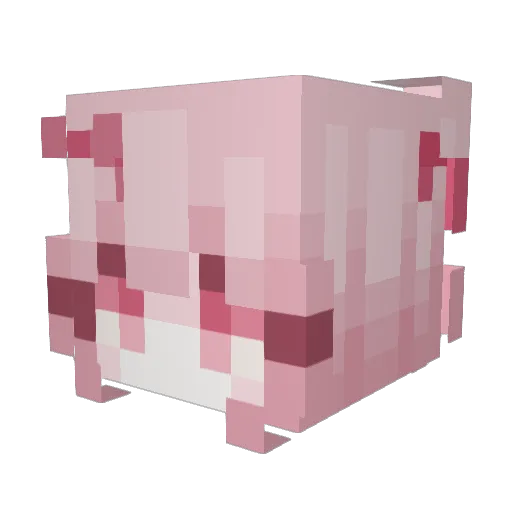 Flowerkitty6 Minecraft avatar head, 3D render