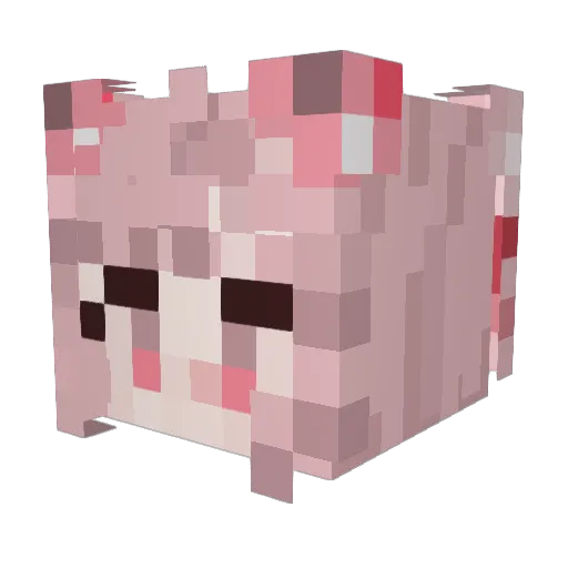 Flowermum Minecraft avatar head, 3D render