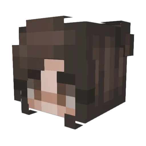 Flowerofthewind Minecraft avatar head, 3D render