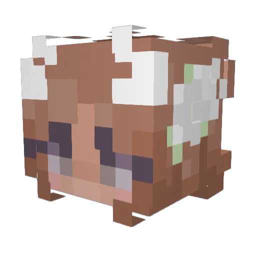Flowerpower836 Minecraft avatar head, 3D render