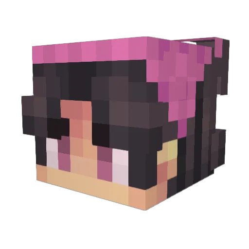 FlowersForMay Minecraft avatar head, 3D render