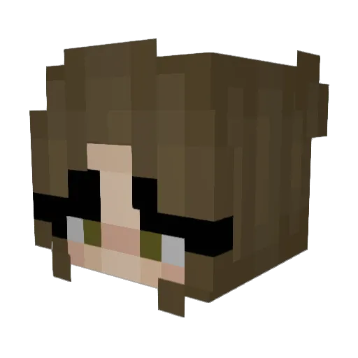 FlowersFrom2021 Minecraft avatar head, 3D render