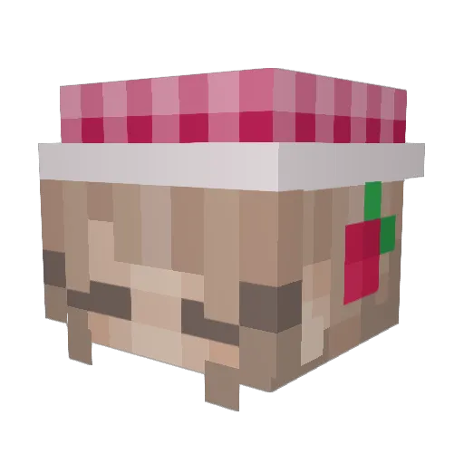 Flowerz712 Minecraft avatar head, 3D render