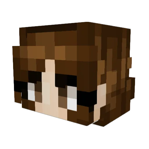 Flowerz77 Minecraft avatar head, 3D render