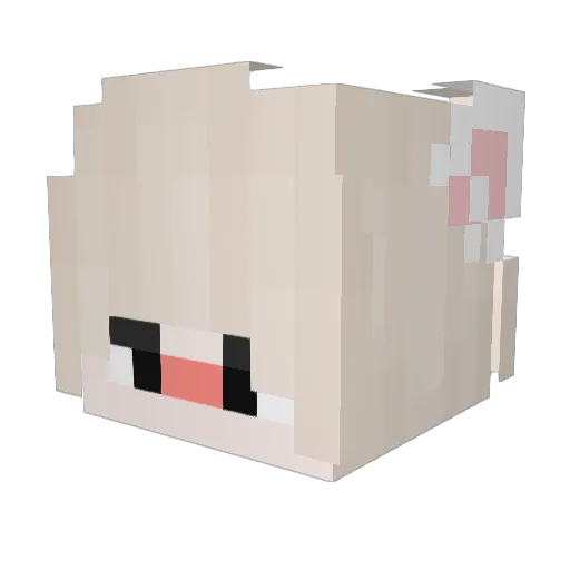Flowex Minecraft avatar head, 3D render