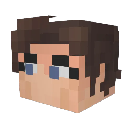 Flowify Minecraft avatar head, 3D render