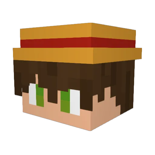 Flowiiiiiii Minecraft avatar head, 3D render
