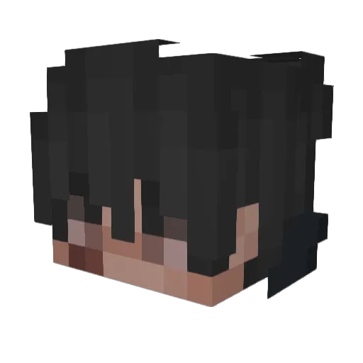 FlowingAbility__ Minecraft avatar head, 3D render