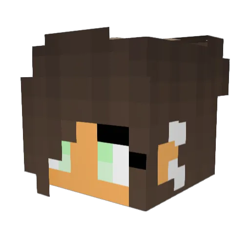 FlowingQuasar96 Minecraft avatar head, 3D render