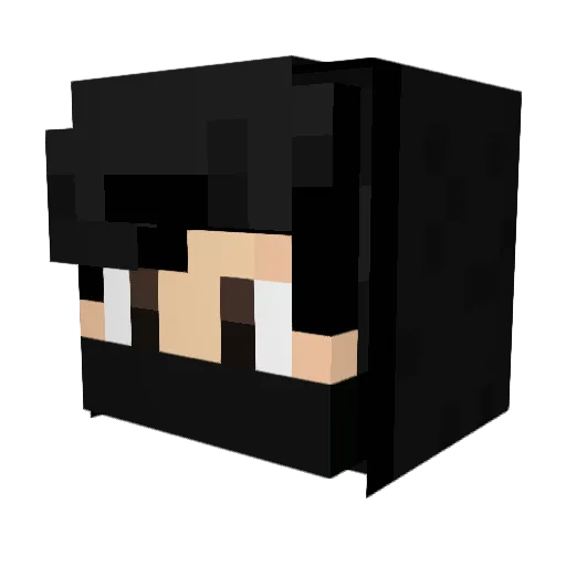 Flown3526 Minecraft avatar head, 3D render