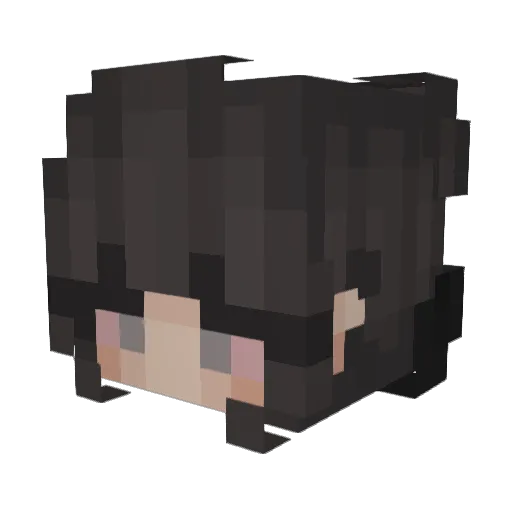 Flowpapiii Minecraft avatar head, 3D render