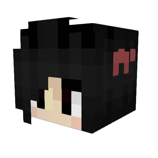Flowrpowr123 Minecraft avatar head, 3D render