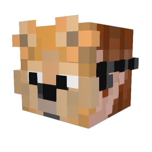 Flowta Minecraft avatar head, 3D render