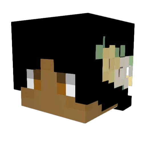 Flowtss Minecraft avatar head, 3D render