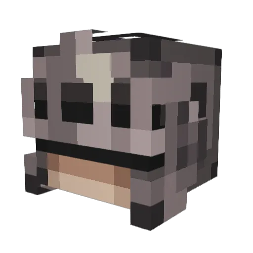 Flowwn Minecraft avatar head, 3D render