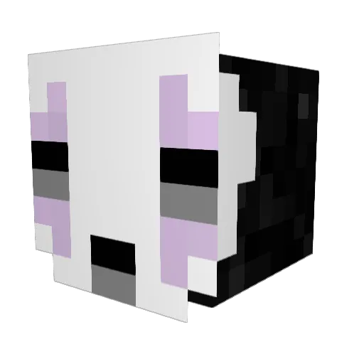 Flowz0r Minecraft avatar head, 3D render