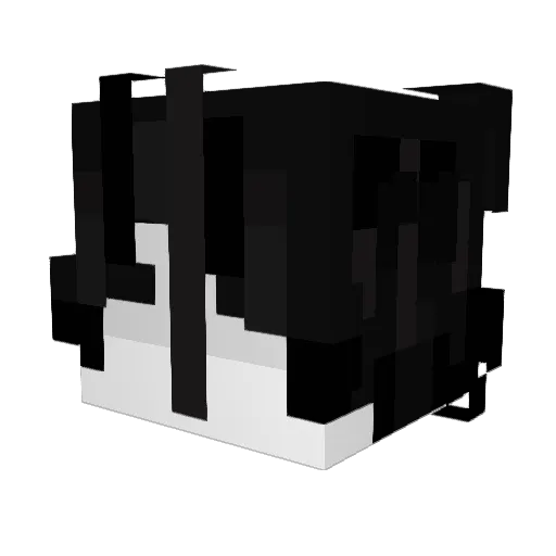 Flowzeta Minecraft avatar head, 3D render