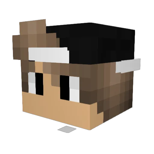 Flowzzz Minecraft avatar head, 3D render