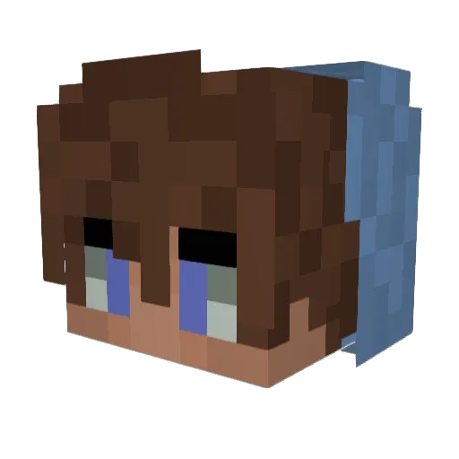 Floxy1750 Minecraft avatar head, 3D render