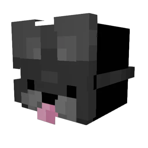 Floyders Minecraft avatar head, 3D render
